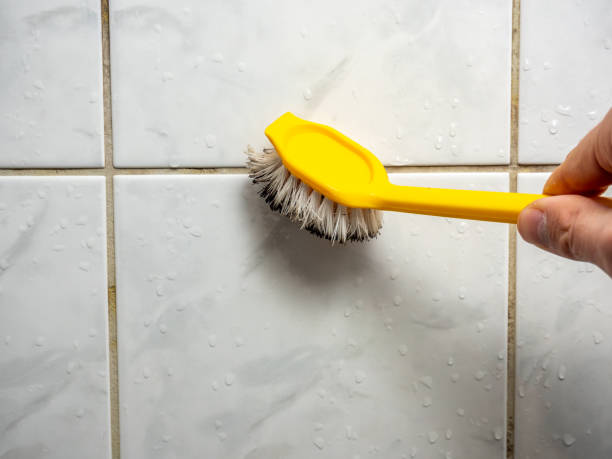Best Mold Testing and Inspection Services in Freeport, TX