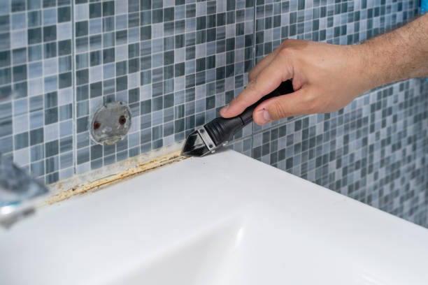 Best Residential Mold Remediation in Freeport, TX