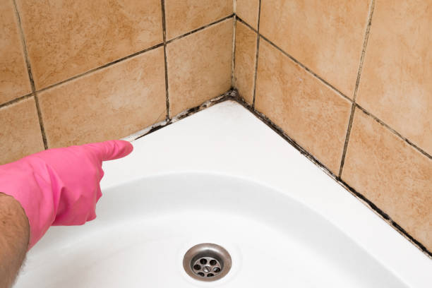 Best Residential Mold Remediation in Freeport, TX